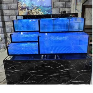 Bể hải sản 2 tầng