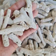 San hô lọc bể hải sản