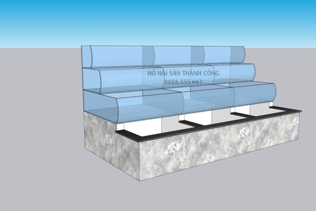 HỒ CÁ MẶT CONG
