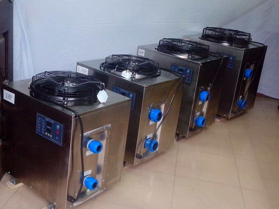 phụ kiện bể cá hồ hải sản
