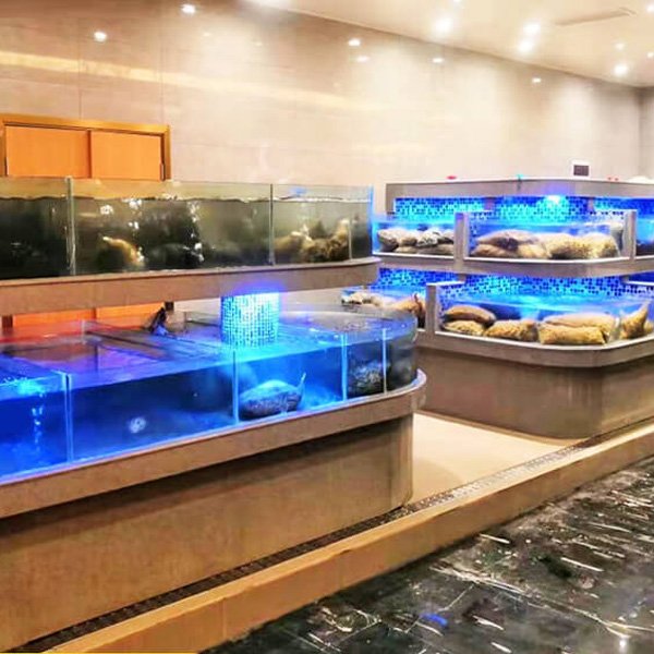 Hồ hải sản hiện đại