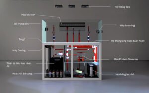 Lọc hồ cá biển