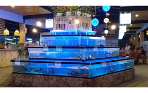 mẫu hồ hải sản đẹp