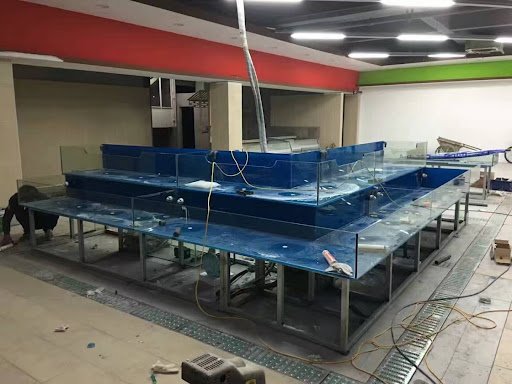 bể cá hải sản nhà hàng