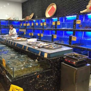 Mẩu hồ hải sản đẹp