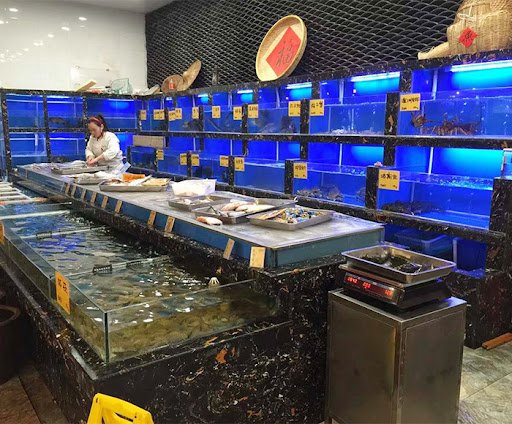 Mẩu hồ hải sản đẹp Mẩu hồ hải sản đẹp