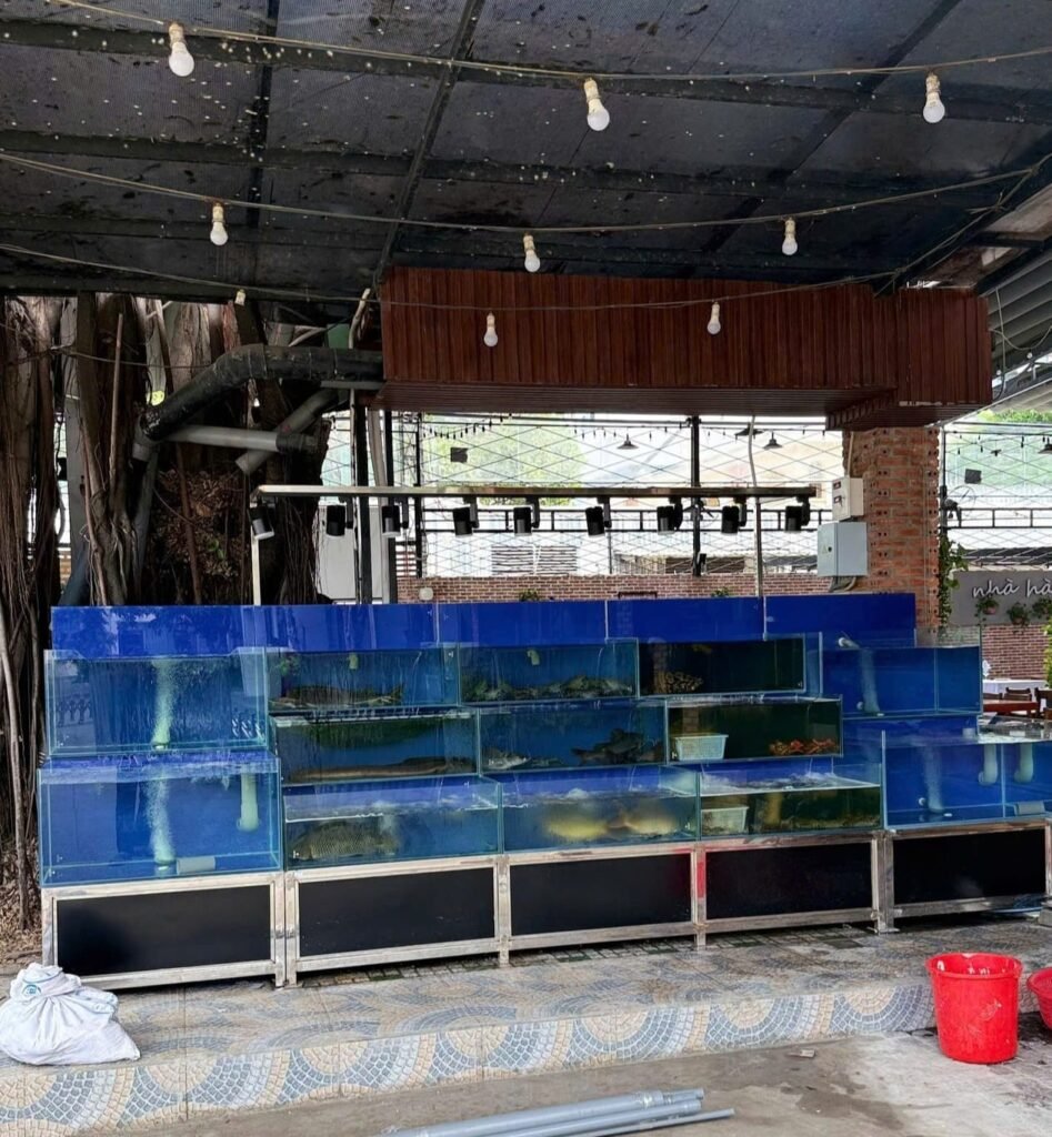 hồ hải sản đẹp