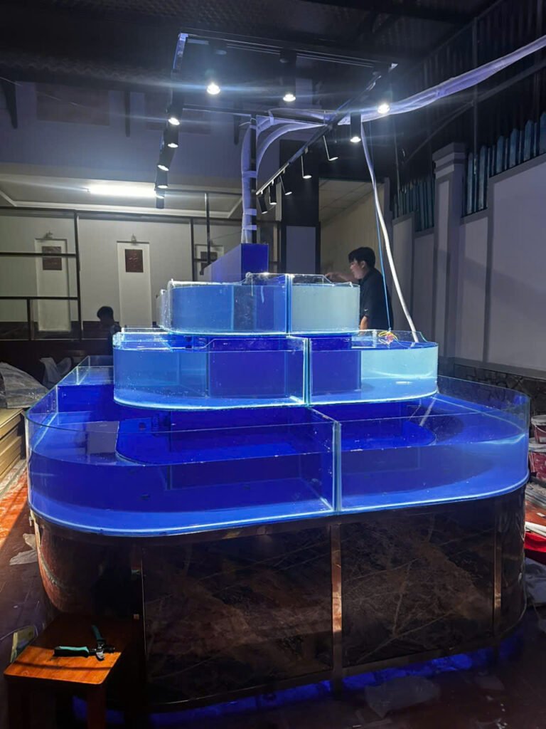 lắp đặt hồ hải sản