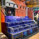 thi công hồ hải sản