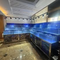Nhà Hàng Trung Hoa Cao Cấp (Chợ Lớn, Quận 5)