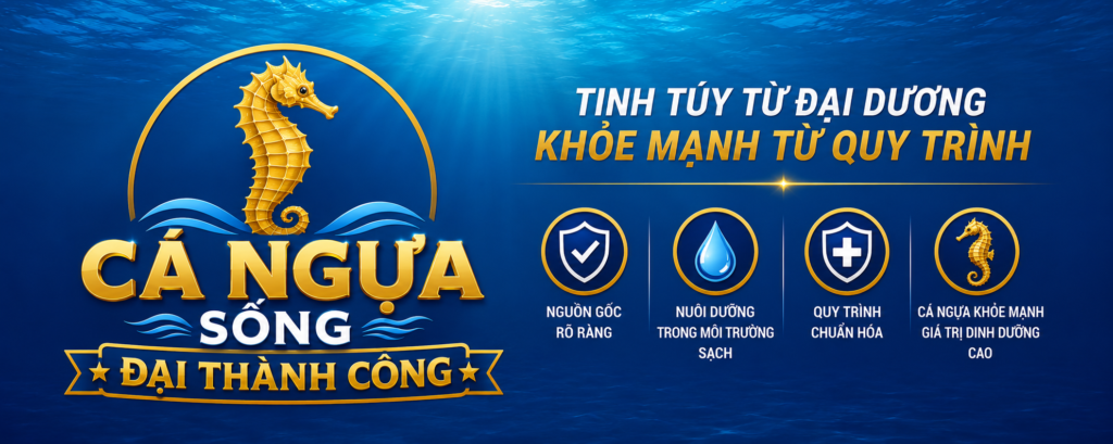 cá ngựa sống