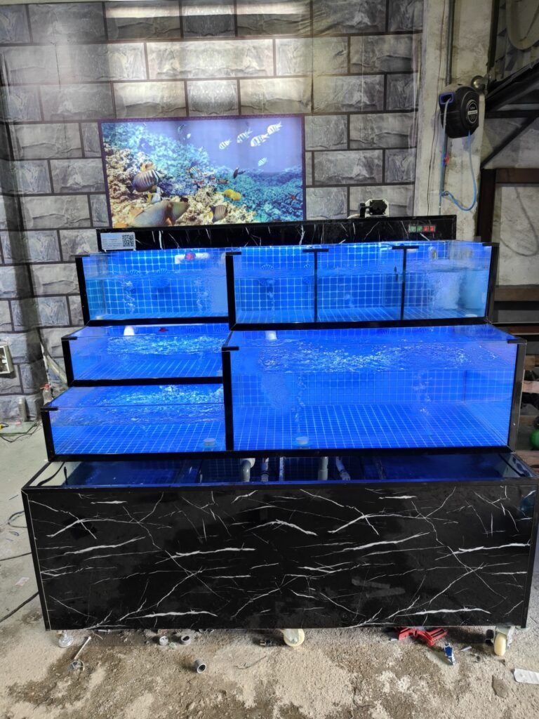 bể hải sản nhà hàng nhật