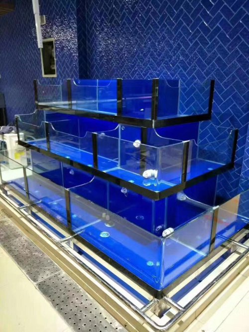 bể hải sản nhà hàng nhật