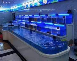 Vũng Tàu là thiên đường hải sản, nhưng để vận hành một siêu thị hải sản tươi sống đáp ứng tiêu chuẩn chất lượng cao lại là một thách thức không nhỏ. Hàng chục loại từ tôm hùm, cá biển đến các loại ngao sò đòi hỏi môi trường sống hoàn toàn khác nhau.